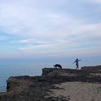 Cristina Maldonado's profile image