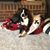 Jennifer Brown DeHart's profile image