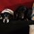 Rebecca Freiman's profile image