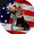 Cheryl Palmateer's profile image