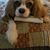 Pamela Gallaway's profile image