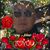 Coung Tran's profile image