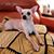 Bonnie Easley's profile image