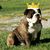 Tammi Jarvis's profile image