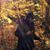 Carter Buschardt's profile image