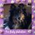 Diana Stefanski Leassner Chandler's profile image