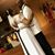 Patricia Evans's profile image
