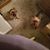 Susan Barnes Herlihy's profile image