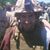 Morris Glen Levine's profile image
