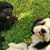 Susan Morosoff's profile image