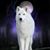 Wendy Mcdonough's profile image