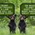 Pamala Bielman's profile image