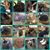 Carolyn Brown's profile image