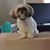 Tresa Harbin's profile image