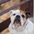 Kristen Bruner Baltrum's profile image