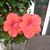 Nichole Scott's profile image