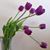 Michelle Crenshaw's profile image