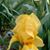 Kimberly Ann Walls's profile image