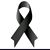 Patricia Vargas's profile image