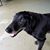 Tajuana Childers Davis's profile image