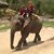 Karen Boschert's profile image
