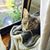 Elizabeth McNaughton's profile image