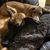 Christy Rowen Nilo's profile image