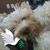 Pily Duran's profile image