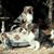 Elizabeth Eckert's profile image