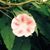 Nancy Grant's profile image