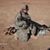 Brian Salyer's profile image