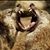 Mary Sibila's profile image