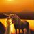 Debbie Murosky's profile image
