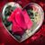 Rickieann Skafi's profile image