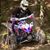 Jason Maynard's profile image