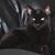 Christine Kabush's profile image