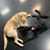 Debra Lane's profile image