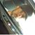 Grant Stephens's profile image
