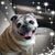 Pamela K. Black's profile image