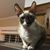 Stephen Sharp's profile image