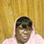 Kathy Gittens's profile image