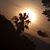 Amy E. Cooper's profile image