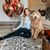 Haley Berger's profile image