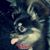 Vicki Hutcheson Leaf's profile image