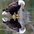 Larry Lund's profile image