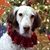 Tammy Barslund's profile image