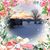 Donna Akram's profile image