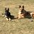 Lori Addington's profile image