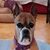 Jaye Peterson Buhlis's profile image