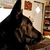 Rayna Fisher's profile image